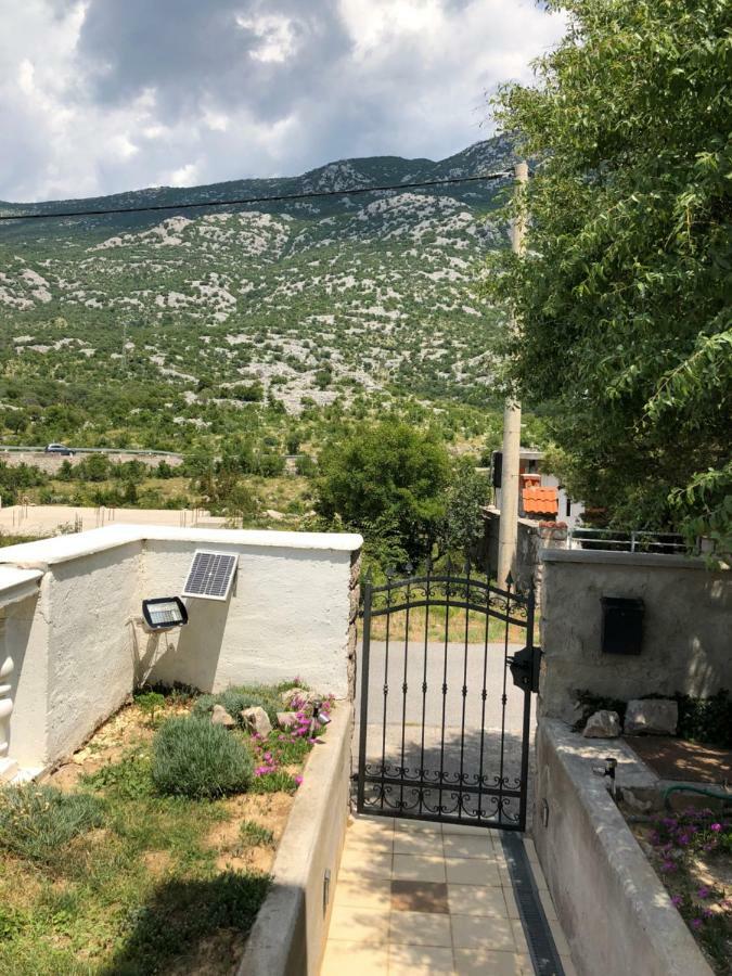 Apartmani Gabi Cesarica Exterior photo